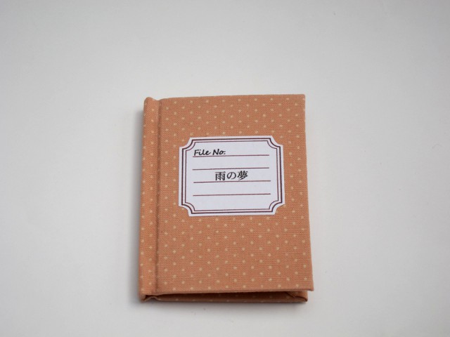 雨の夢　通常版