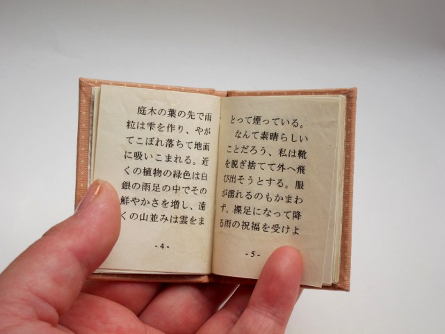 雨の夢　通常版